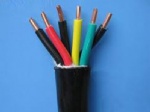 High-temperature resistant control cable with fluoroplastics insulation